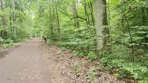 usprawiedliwienie ...