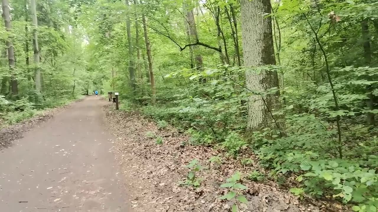 usprawiedliwienie ...