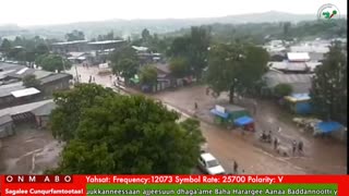 Oduu Waaree ONM-ABO Sadaasa 8-2025 itti dhiyaadhaa!