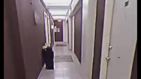 Terrifying Real Horror Stories 📹 Caught in Real Life