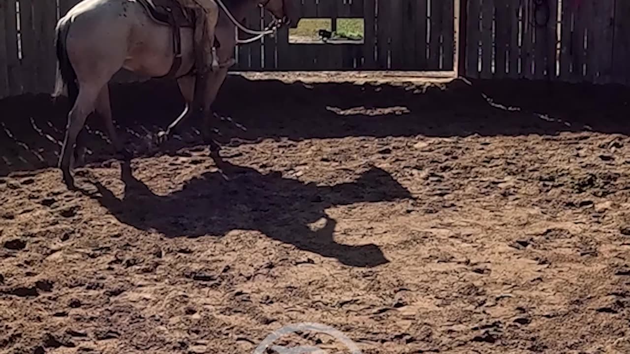 Just put yourself in your horse's shoes.