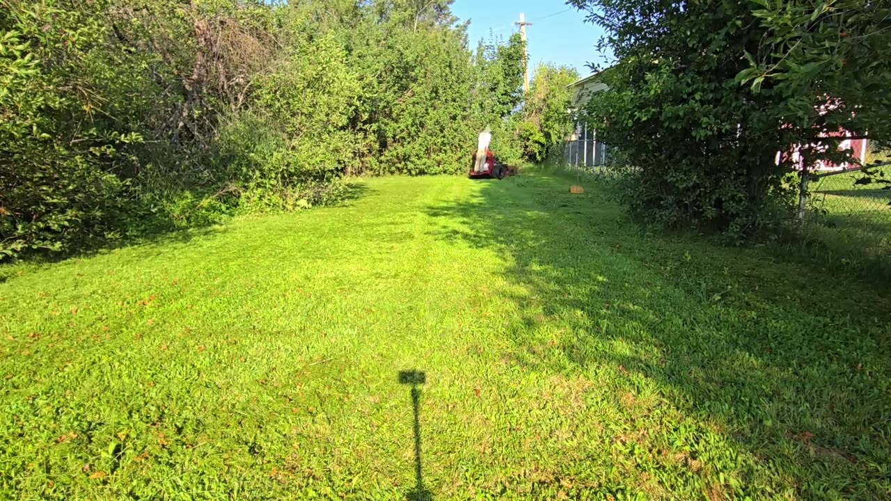 Deep in the Forest - Shocked by What’s Left – QTX984532MK #PlantifyLifeUS #UrbanExploration
