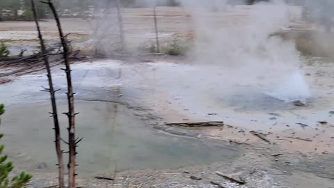 Minute Geyser in Yellowstone National Park