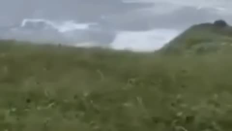 Man in Kamchatka casually films tsunami while on a walk with his dog