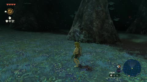 CRISIS AT HYRULE CASTLE