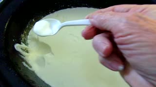 Homemade Yogurt 5/8/25: