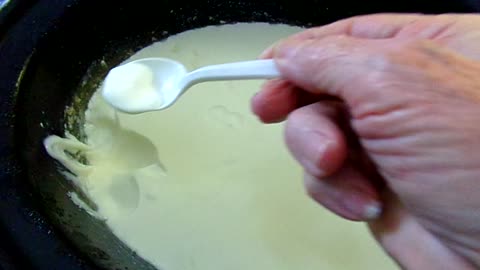 Homemade Yogurt 5/8/25: