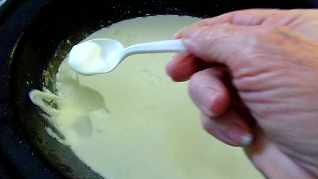 Homemade Yogurt 5/8/25: