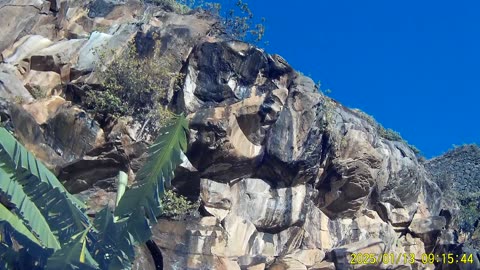 250113A___Madeira_NS-404,_waterfall_in_garden.(1080p)