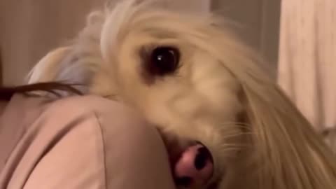 ❤