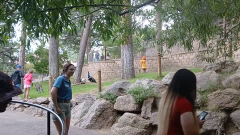Cheyenne Mountain Zoo Part 22