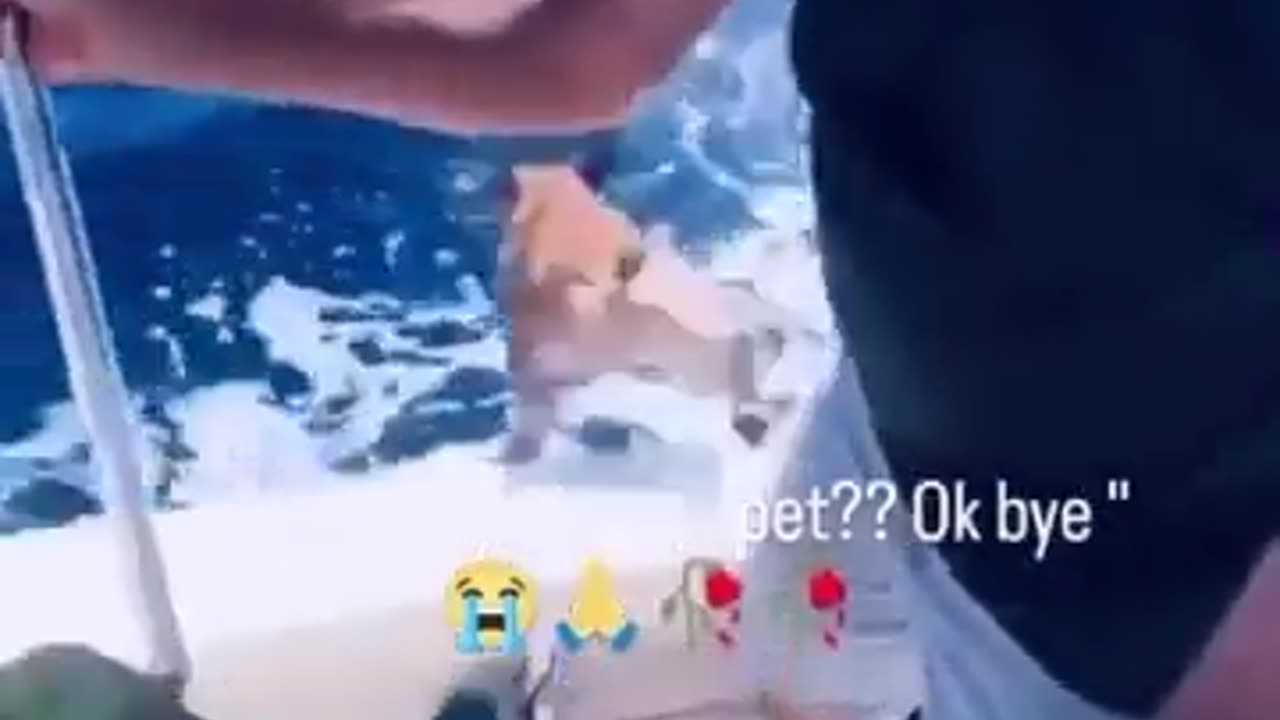 😂 That's It, I'm Out! | FunFM