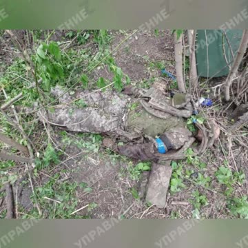 Ukraine war raw footage 5/31/25