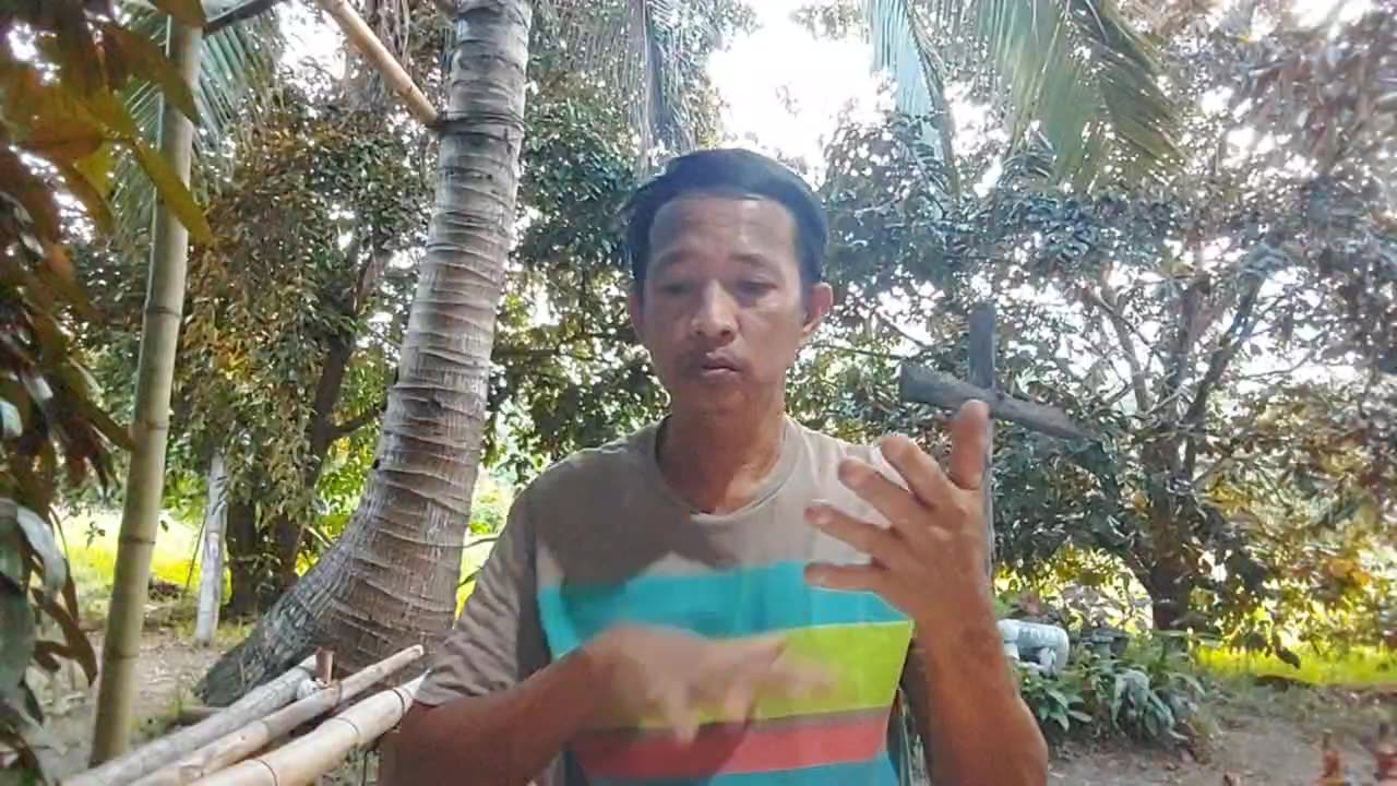 Friday, 11th July 2025, DWG Devotional Daily