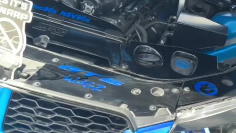 HSV beauties cruising around on the weekend, video by @wldlsa. 🤍