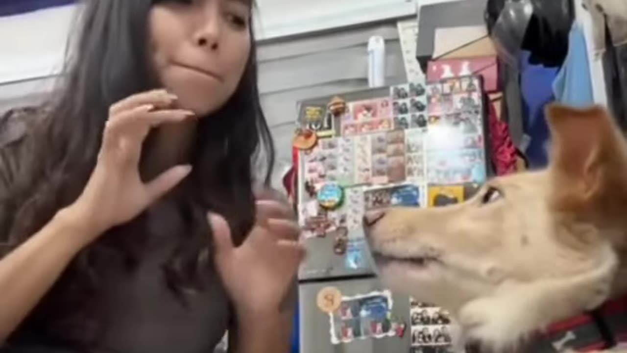 The Funniest Fails Caught on Camera - Watch Now!