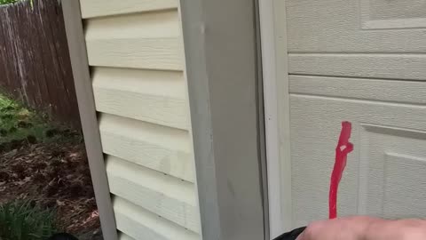 Final Inspection Before Move-In | Tenant Delay Application & Clean Up Needed!