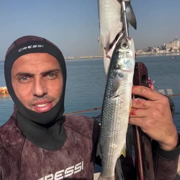 Seek refuge in the Sea