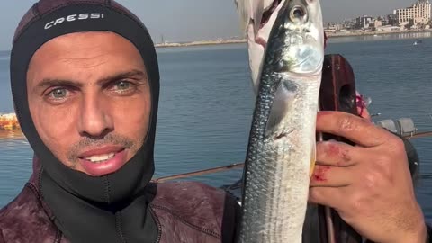 Seek refuge in the Sea