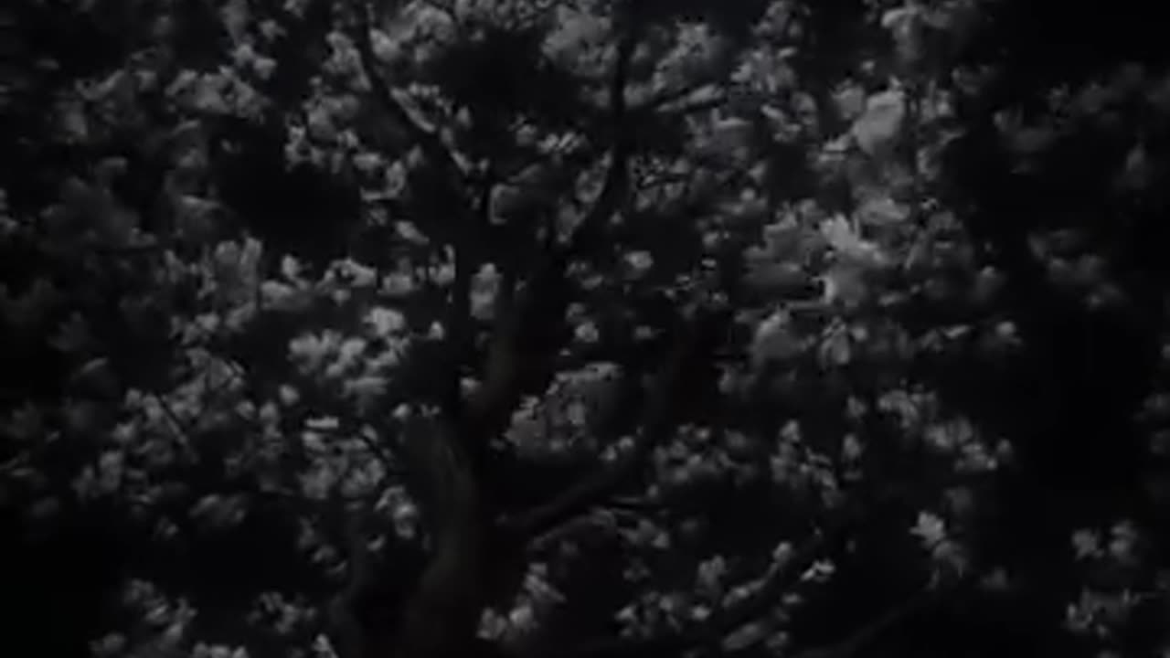 Letting go is hard 💯😥