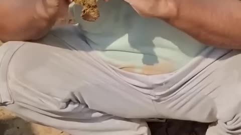 Indian Hindu Eating Cow Poo