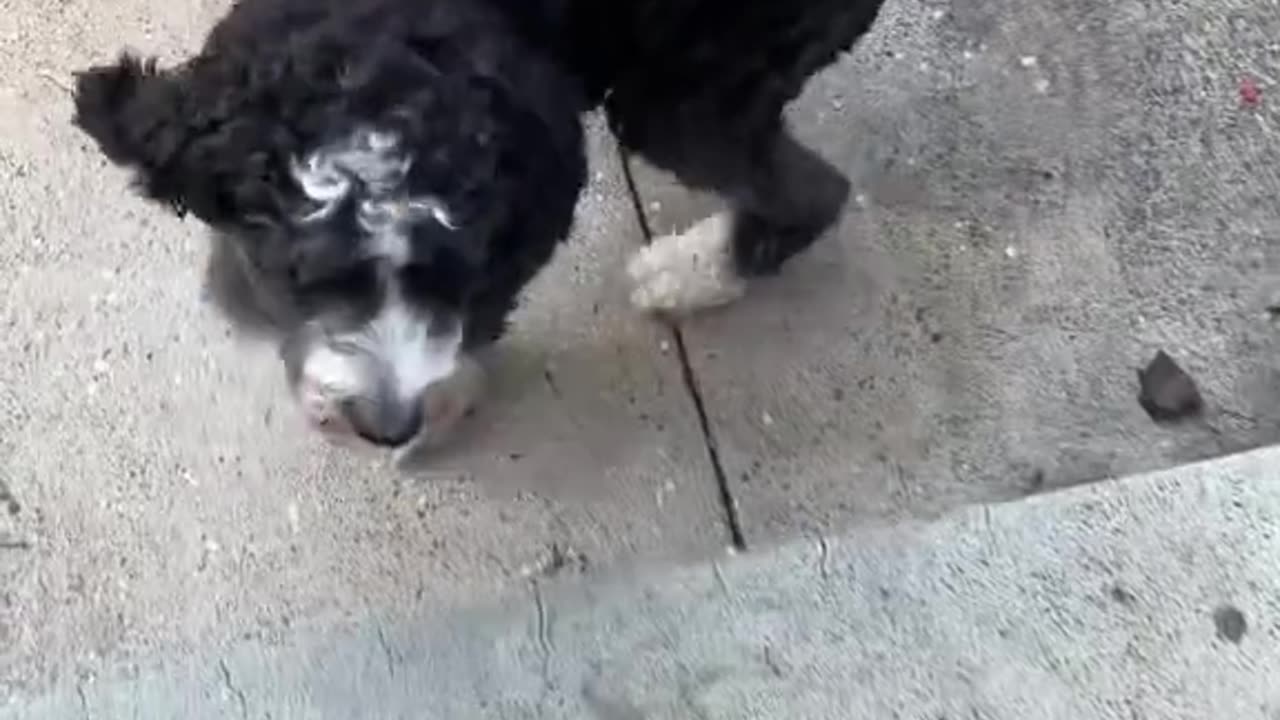 Walter ❤️