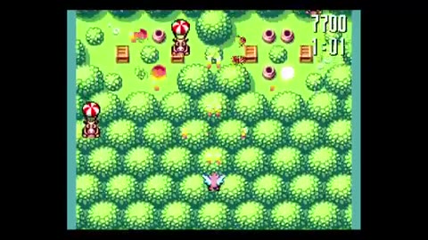 Flight of the Pigarus 2 minutes game