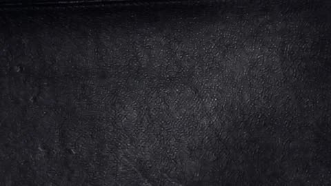 CELINE TRICOLOR LUGGAGE BAG