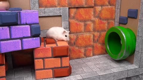 Hamster Escapes Super Mario Maze Challenge | Funny & Cute Pet Adventure