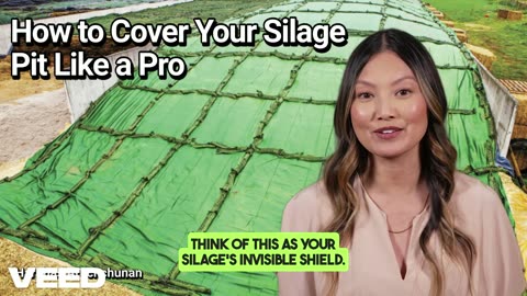 Don’t Let Your Silage Breathe: How to Cover Your Silage Pit Like a Pro