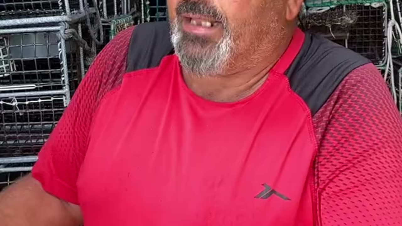 sdsdsd