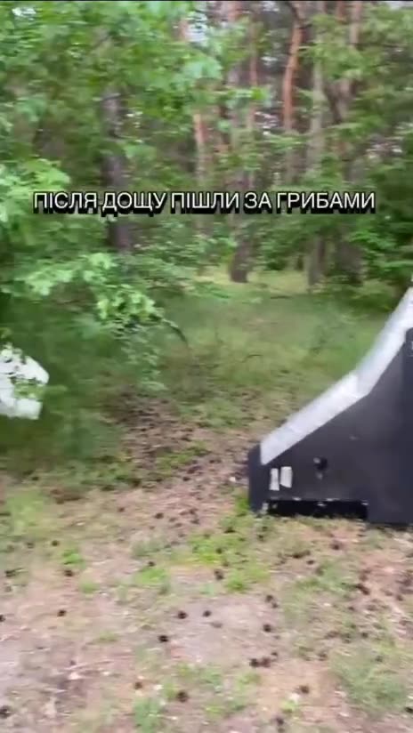 Civilians Find Multiple Russian UAVs Brought Down by Electronic Warfare