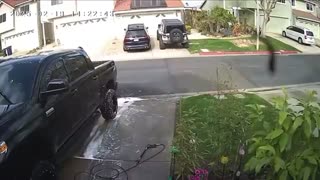 Kicks Dog and Pulls Gun on Man after he allegedly yelled at her mother.