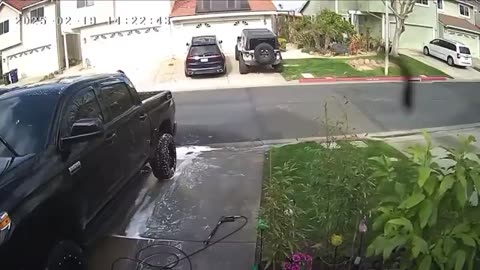 Kicks Dog and Pulls Gun on Man after he allegedly yelled at her mother.