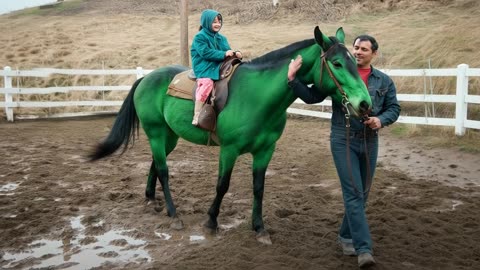 GREEN PONY