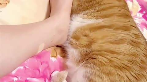 I'm really warm.