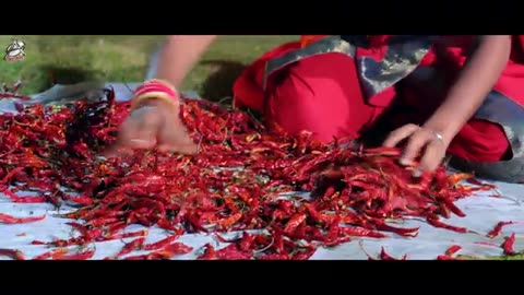 Sadiya kariye le aayiBhojpuri new song ankush Raja
