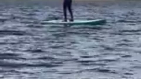 Guy Attempt Flip. on Paddle Board