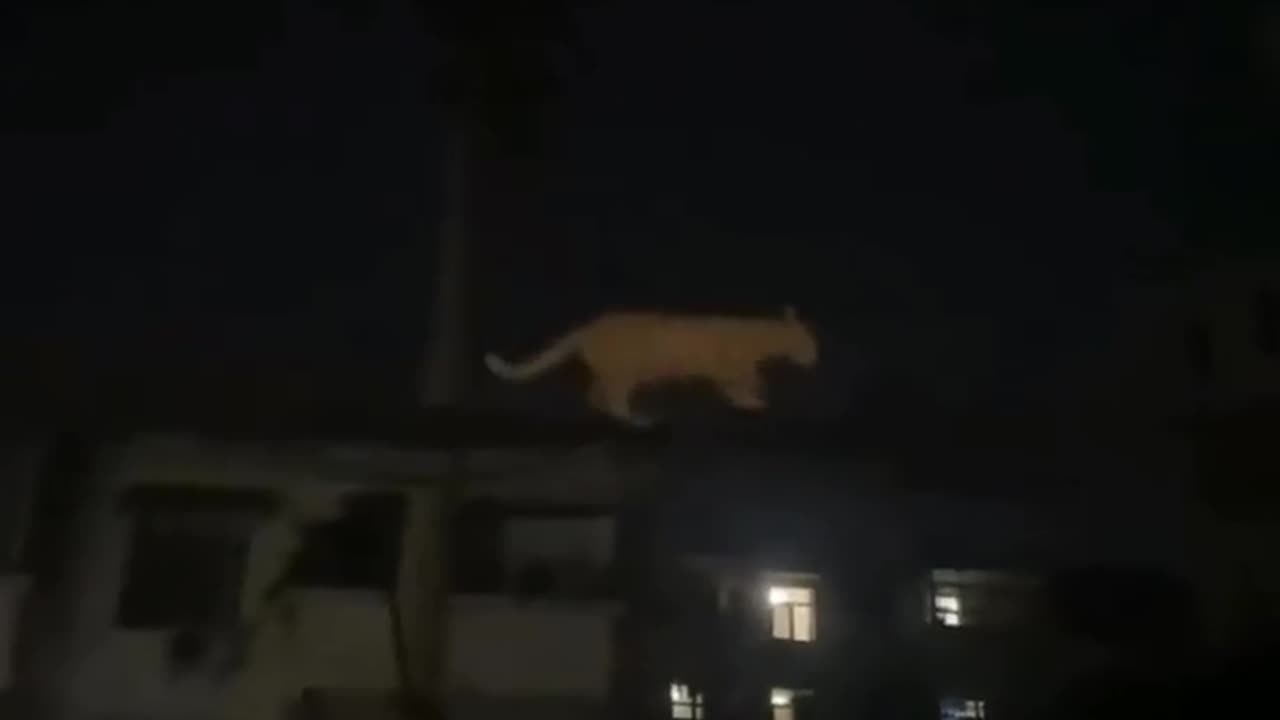 🔭✨ Mind-Blowing Camera Trick: Wire Looks Like It's On Top Of The Building! | FeedMyCuriosity