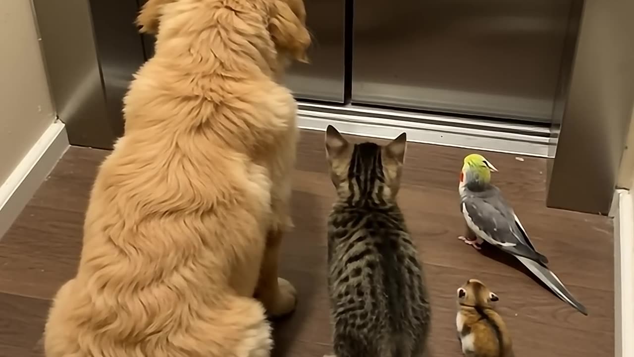 What’s going on with that door?