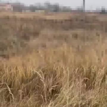 Ukraine Russia war combat/related footage 12/7/2025