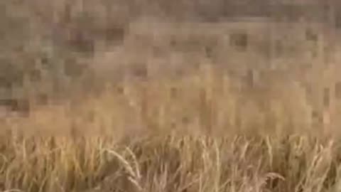 Ukraine Russia war combat/related footage 12/7/2025