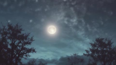 Moonlight Song