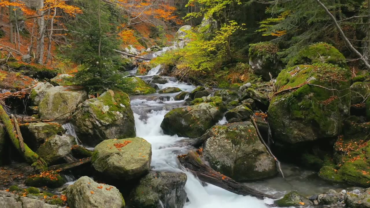 Charade! Greatest Date Movie Ever! HD