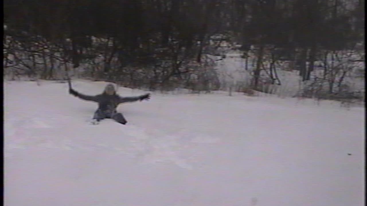 Jason Loves the Snow.