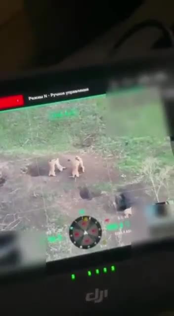Ukranian drone operators spot Marmots fighting on the front line