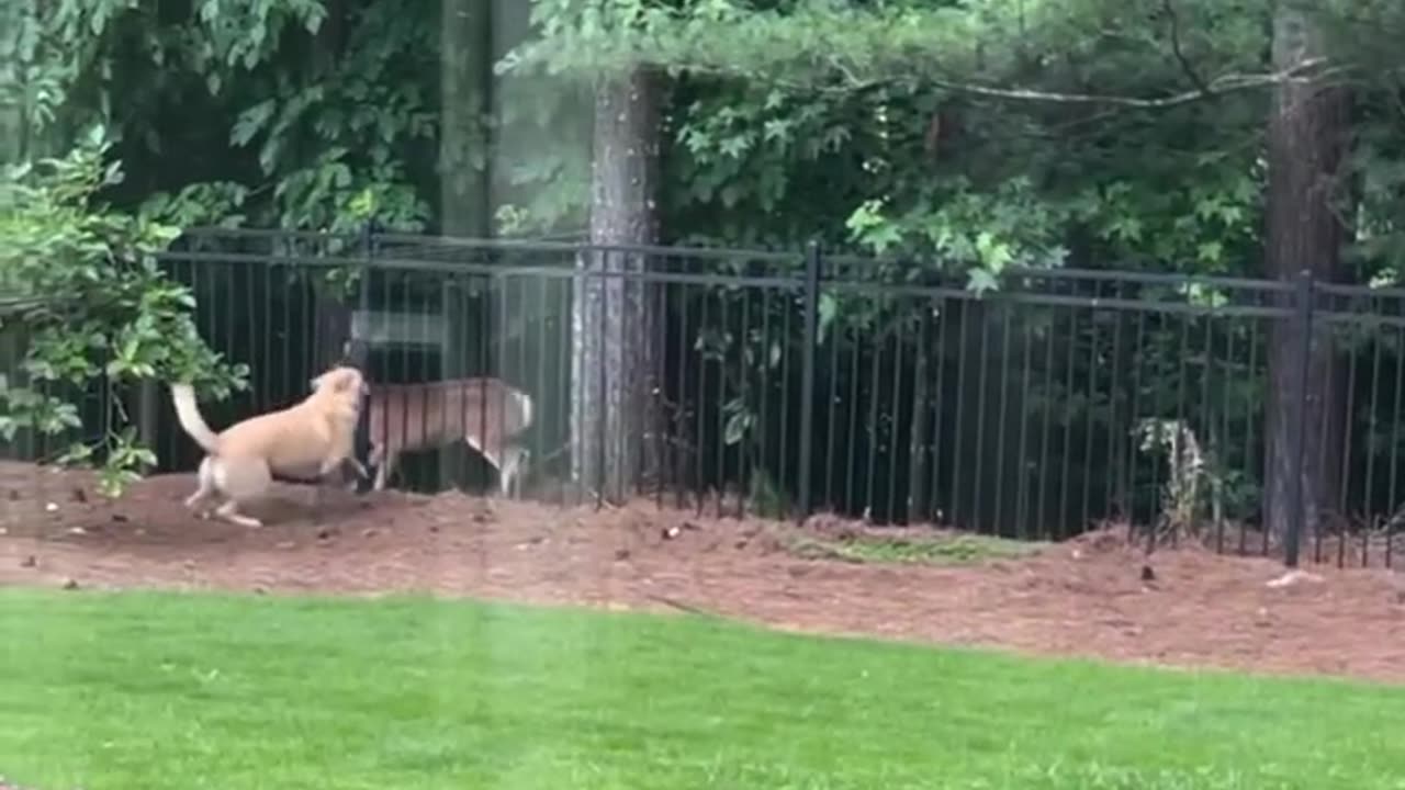 You can be happy like this too