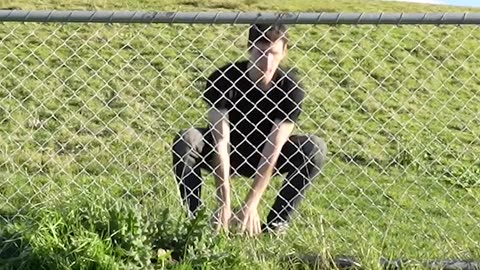 How Animals Get Over Fence