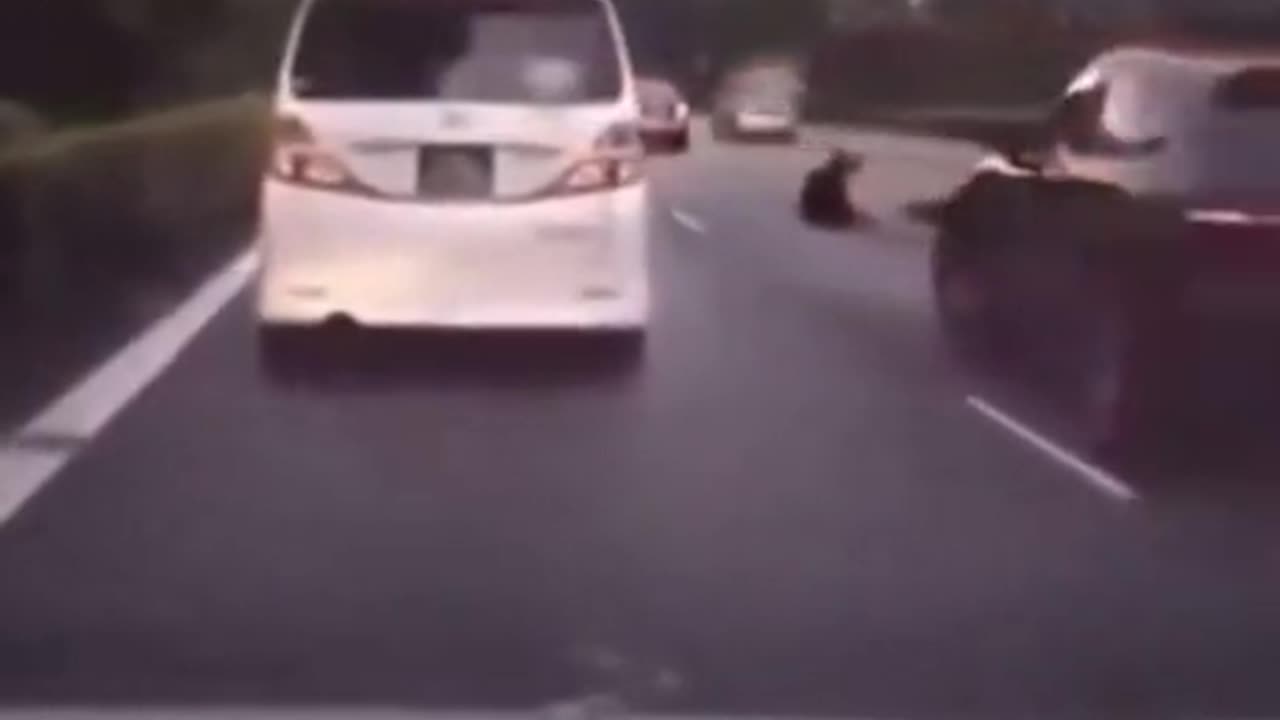 Car FAIL... just kidding...