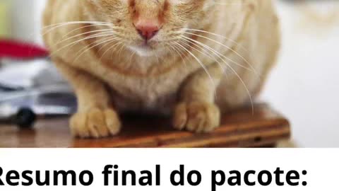 5 videos virais de animais engraçados completo.mp4